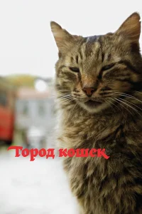 Город кошек турецкий сериал