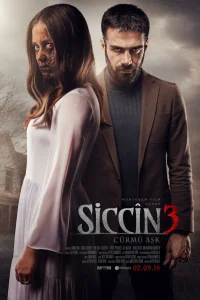 Сиджин 3 турецкий сериал