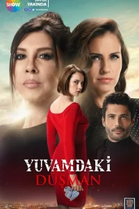 Враг в моём доме турецкий сериал