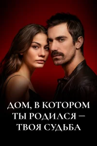 Дом, в котором ты родился - твоя судьба турецкий сериал