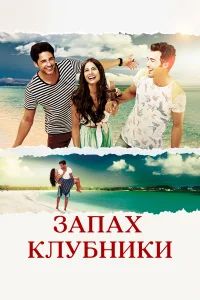 Запах клубники турецкий сериал